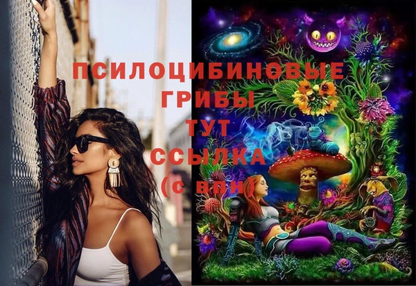 мяу мяу мука Алзамай