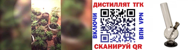 как найти закладки  Бирюч  Дистиллят ТГК Wax 